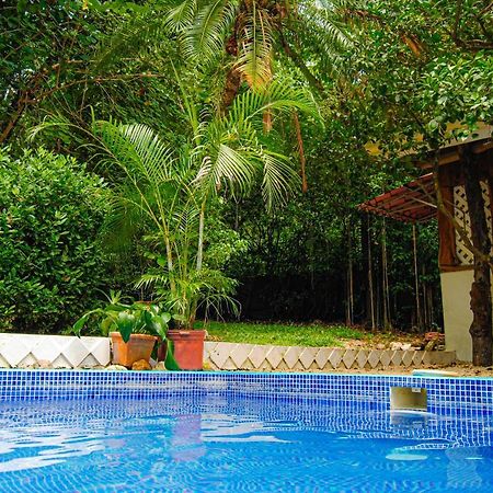 הוילה נוסארה Hacienda Sarah מראה חיצוני תמונה